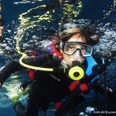 diving elba gallery 2